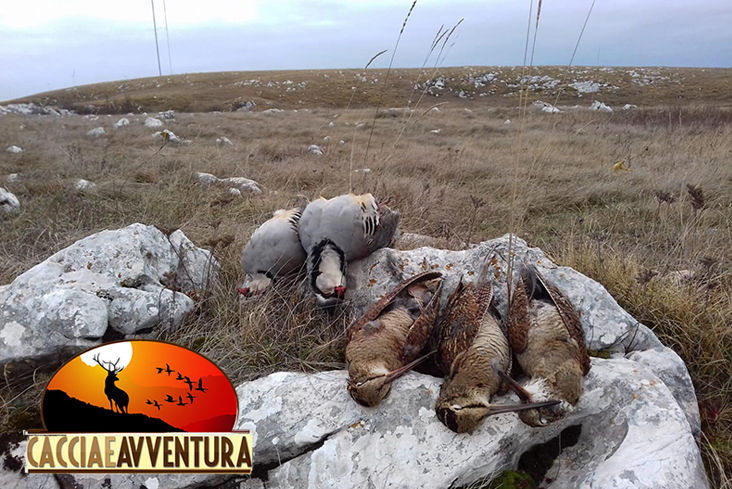 caccia alla allodola in Romania caccia e avventura