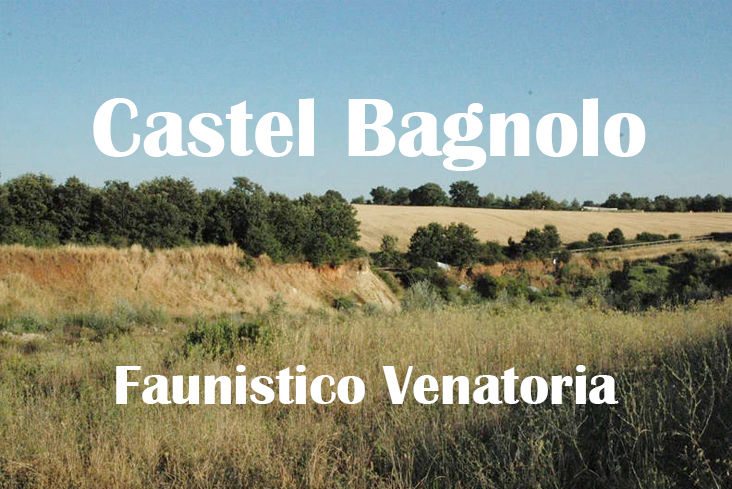 Castel Bagnolo caccia nel lazio migratoria tordi beccaccia colombaccio