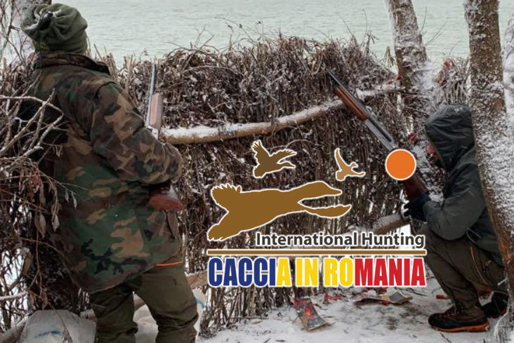 caccia alla allodola in Romania International Hunting