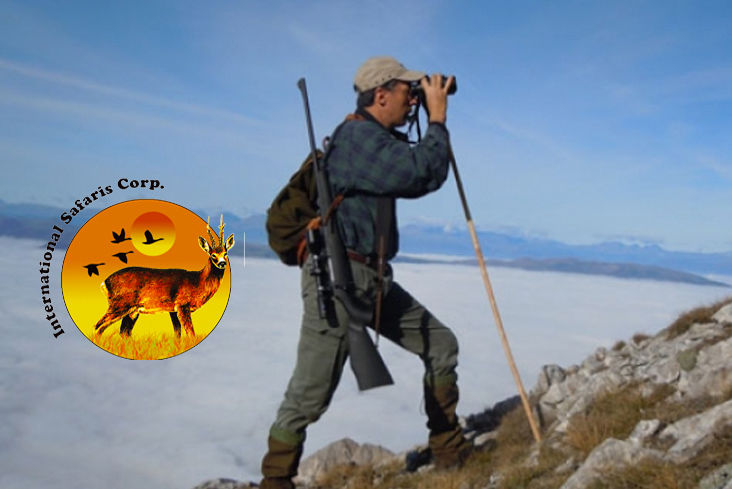 caccia alla tortora in macedonia safari international